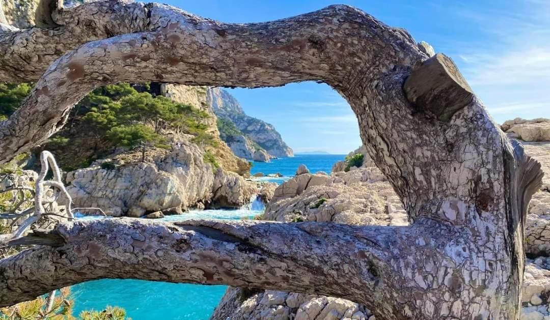 Mon Petit Paradis, Cassis Centre Apt 90 M2, 200 M Mer, Terr Plein Sud, Clim Park Prive Exterior photo